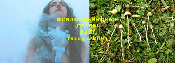 Альфа ПВП Беломорск